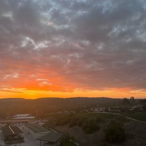 Meet your Posher, Savannah